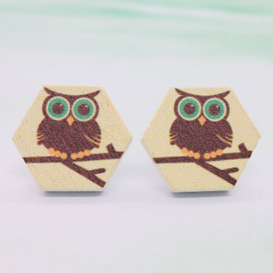 Hexagon Owl Studs
